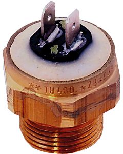 Wolf Sicherungsthermostat Pumpe 95C 2744658 für BVG-23/30