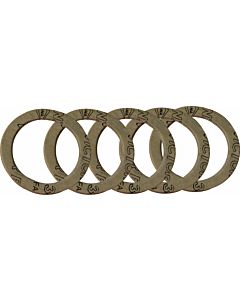 Wolf flat gasket 3910021 5 pieces, 56x42x2 AFM 34