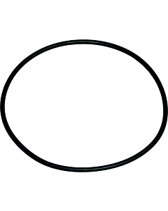 Wolf O-Ring Dichtung 110x3,5 3910140 für Gasbrennwertkessel