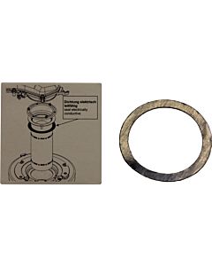 joint en graphite Wolf électrique. conducteur 3910434 79,8x63,6x0,25