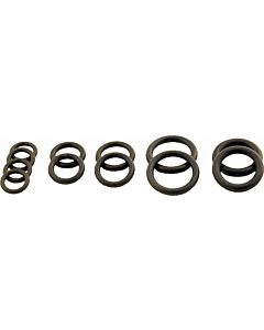 Wolf O-ring set hydraulic group 8612385 for CGG