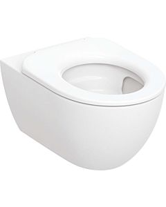 Geberit Acanto wall washdown WC 502996001 closed form, TurboFlush, set including WC seat ring