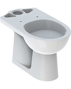 Geberit Renova standing washdown WC 203821600 for surface-mounted cistern, vertical outlet, white KeraTect