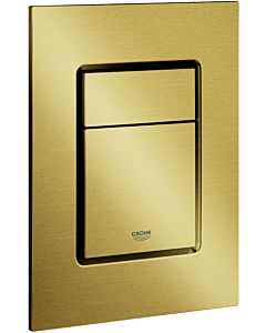 Grohe Skate Cosmopolitan cover plate 37535GN0 vertical mounting, brushed cool sunrise