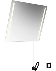 Hewi 801 miroir lumineux inclinable LED 801.01B40195 600x540x6mm, mat, gris roche
