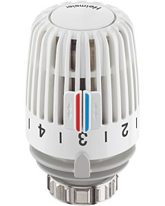 Heimeier thermostatic head 6200-00.500 white, for swimming pools and medical baths