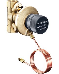 Oventrop Differential pressure control valve Hycocon DTZ 1062010, DN32, 2000 2000 /4&quot;,PN16, 50-300mbar